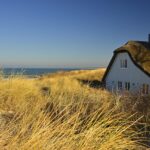 house, thatched cottage, dune, dune landscape, coast, landscape, nature, baltic sea, northern germany, ahrenshoop, house, house, house, house, house