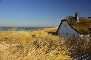 house, thatched cottage, dune, dune landscape, coast, landscape, nature, baltic sea, northern germany, ahrenshoop, house, house, house, house, house