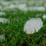 a group of ice cubes sitting on top of a lush green field